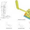 Honorable Mention, 2014 AIANH Emerging Professionals Design Competition
